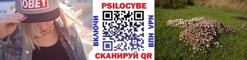 наркошоп  Коркино  Галлюциногенные грибы Magic Shrooms 